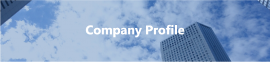 company-profile